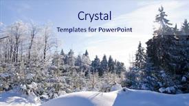  Presentation with snow covered trees and falling - Colorful slide deck enhanced with covered with fresh powder snow backdrop and a  colored foreground