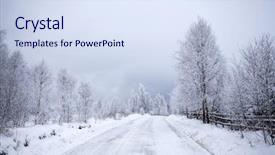  Presentation with trees - Beautiful PPT layouts featuring covered with hoarfrost and snow backdrop and a sky blue colored foreground