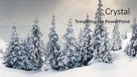  Presentation with white snow - Audience pleasing theme consisting of covered with hoarfrost and snow backdrop and a soft green colored foreground