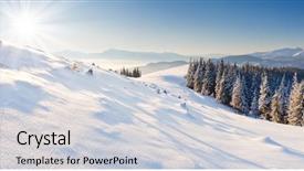  Presentation with trees - PPT layouts consisting of covered with hoarfrost and snow background and a  colored foreground