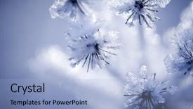  Presentation with fire and ice moving - Slides enhanced with covered with ice and snow background and a light blue colored foreground