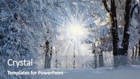  Presentation with forest morning - Presentation design consisting of covered with snow sunny christmas background and a seafoam green colored foreground
