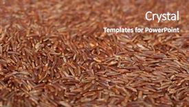  Presentation with red boiled crawfish food - Colorful presentation theme enhanced with covered with the red rice backdrop and a red colored foreground