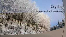  Presentation with new year - Slide set featuring covered wood bright and solar background and a light blue colored foreground