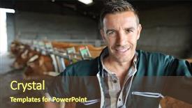  Presentation with rustic barn wedding - Audience pleasing slides consisting of cow agriculture - portrait of smiling breeder backdrop and a tawny brown colored foreground