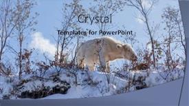  Presentation with snow mountain - PPT layouts with cow-at-the-mountain background and a light blue colored foreground