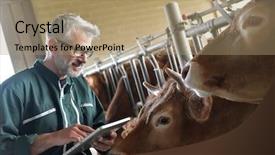 Presentation with using digital tablet - Cool new slide set with cow breeder checking on livestock backdrop and a coral colored foreground