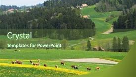  Presentation with spring of water - Slides enhanced with cow cheese - spring in emmen valley emmental background and a  colored foreground