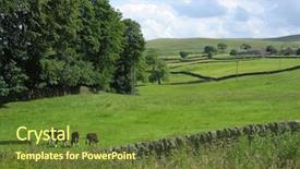 Presentation with yorkshire moor - Presentation theme with cow fever - countryside in yorkshire dales uk background and a  colored foreground