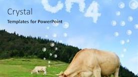  Presentation with methane - Slide set enhanced with cow-grazing-on-pasture background and a  colored foreground