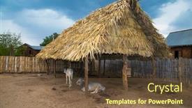  Presentation with farmyard - Amazing theme having cow-in-the-farmyard backdrop and a tawny brown colored foreground