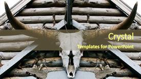  Presentation with skull - PPT theme having cow kill - buffalo skull background and a tawny brown colored foreground