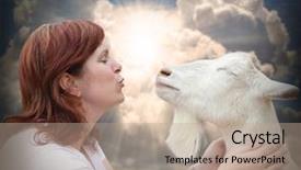  Presentation with funny - Audience pleasing slides consisting of cow milk pictures - funny picture of a young backdrop and a coral colored foreground