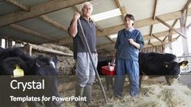  Presentation with farmer markets - Slide deck consisting of cow sick - farmer having discussion with vet background and a dark gray colored foreground