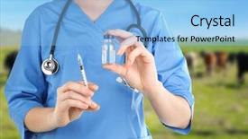 Presentation with vaccination - Amazing PPT theme having cow sick - veterinarian holding syringe with medicine backdrop and a light blue colored foreground