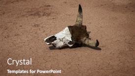  Presentation with drought - Cool new theme with cow-skull-on-dry-cracked backdrop and a tawny brown colored foreground