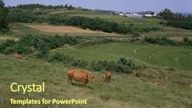  Presentation with agriculture - Cool new slide set with cow template - agriculture details backdrop and a tawny brown colored foreground