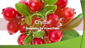  Presentation with vat value added tax isolated - Audience pleasing presentation theme consisting of cowberry lingonberry vaccinium vitis-idaea backdrop and a crimson colored foreground