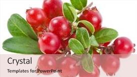  Presentation with fresh water splash green apple isolated white - Slide deck enhanced with cowberry lingonberry vaccinium vitis-idaea background and a coral colored foreground