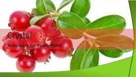  Presentation with vat value added tax isolated - Beautiful slide deck featuring cowberry lingonberry vaccinium vitis-idaea backdrop and a red colored foreground