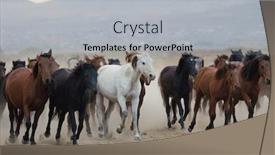  Presentation with wild horses - Cool new slides with cowboy-and-wild-horses-riding backdrop and a light gray colored foreground