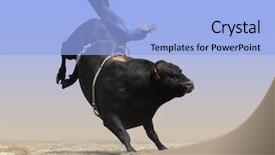  Presentation with cowboy - Audience pleasing theme consisting of cowboy falling off a bull backdrop and a light blue colored foreground