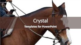  Presentation with cowboy - Beautiful PPT theme featuring cowboy's horse isolated backdrop and a  colored foreground