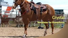  Presentation with cowboy - Colorful presentation enhanced with cowboy's horse set back backdrop and a  colored foreground