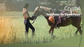  Presentation with cowgirl - Audience pleasing PPT theme consisting of cowgirl with her horse backdrop and a gray colored foreground
