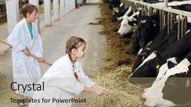  Presentation with give - Beautiful presentation featuring ideas wanted motivational phrase sign on old wood with blurred background backdrop and a dark gray colored foreground