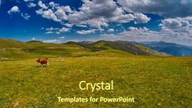  Presentation with blue mountain - Audience pleasing PPT layouts consisting of cows eating fresh grass backdrop and a tawny brown colored foreground