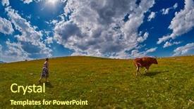  Presentation with blue mountain - Theme featuring cows eating fresh grass background and a tawny brown colored foreground