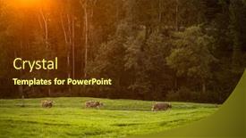  Presentation with pasture - Audience pleasing PPT theme consisting of cows-going-home-from-pasture backdrop and a tawny brown colored foreground