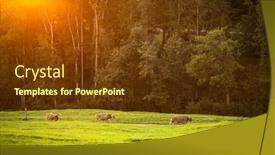  Presentation with pasture - Slide deck consisting of cows-going-home-from-pasture background and a tawny brown colored foreground