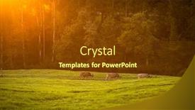  Presentation with farming - PPT layouts with cows-going-home-from-pasture background and a tawny brown colored foreground