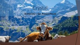  Presentation with switzerland - 