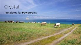  Presentation with siberia - Audience pleasing PPT theme consisting of cows-on-the-shore backdrop and a light blue colored foreground