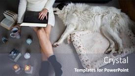  Presentation with dog christmas - Presentation theme featuring cozy-christmas-time-at-home background and a gray colored foreground