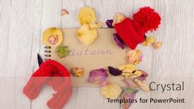  Presentation with top hat - Audience pleasing theme consisting of cozy-home-desk-autumn-fall backdrop and a soft green colored foreground