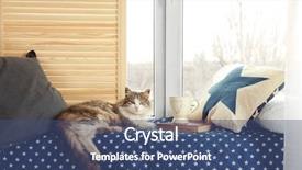  Presentation with cat - Colorful theme enhanced with cozy window seat backdrop and a ocean colored foreground