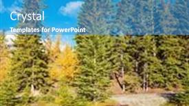  Presentation with rocky shore - Presentation theme with cozy-wooden-table-and-benches background and a teal colored foreground