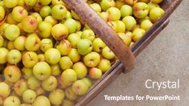  Presentation with crab - Cool new PPT theme with crab-apples-in-wooden-basket backdrop and a coral colored foreground