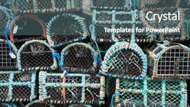  Presentation with crab - Amazing slide set having crab baskets close up backdrop and a ocean colored foreground