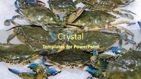  Presentation with crab - Presentation theme with crab-in-the-ice-market background and a tawny brown colored foreground