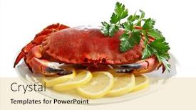  Presentation with crab - PPT layouts featuring crab on a platter background and a yellow colored foreground