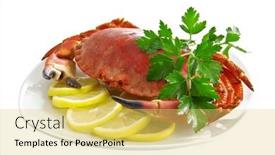  Presentation with crab - Presentation with crab on a platter background and a yellow colored foreground