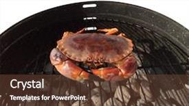  Presentation with charcoal - PPT layouts having crab on charcoal grill background and a tawny brown colored foreground