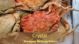  Presentation with fish people - Slide deck having crabs-cooked-crab-for-sale background and a tawny brown colored foreground