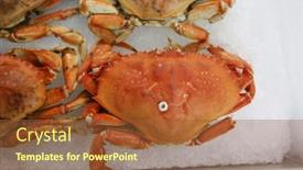  Presentation with fish people - Presentation having crabs-cooked-crab-for-sale background and a red colored foreground