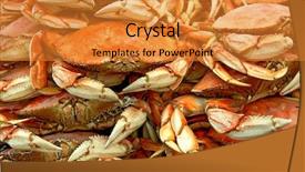  Presentation with crabs - Amazing presentation theme having crabs on sale backdrop and a gold colored foreground